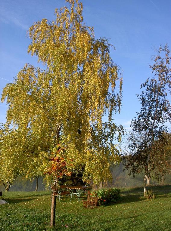 Goelsenhof - Fam. Buechinger Villa Wald  Dış mekan fotoğraf